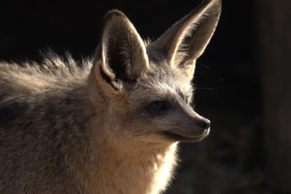 ほんの少しだけ、遠回りして帰ろう